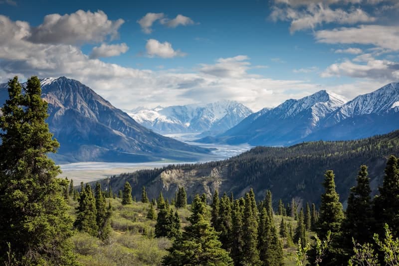 Mountain landscape with trees